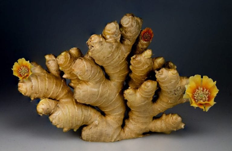 the-history-of-ginger-the-ancient-times-favourite-spice