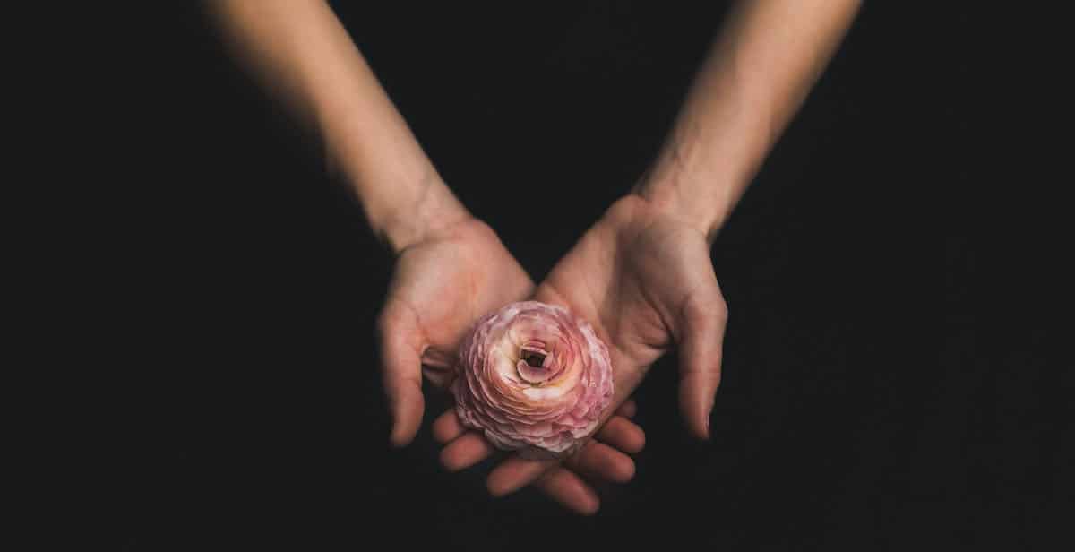 hands holding flower