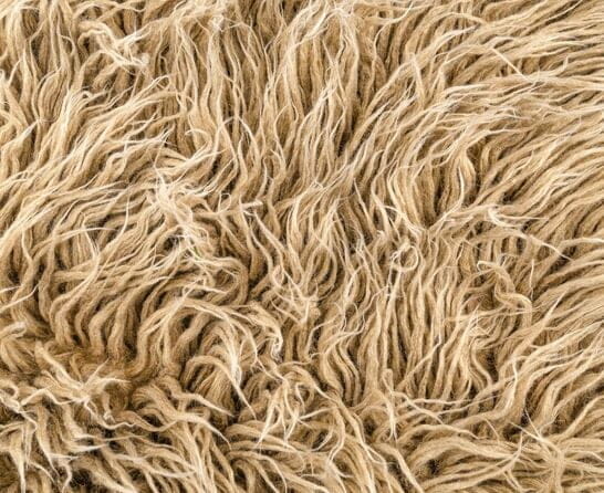 hairy mat