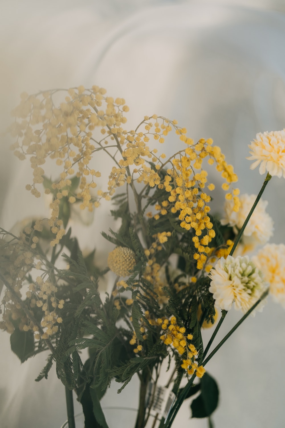 yellow and white flowers