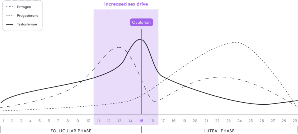 hormones behavioral during menstrual cycle